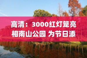 高清：3000红灯笼亮相南山公园 为节日添喜庆色彩